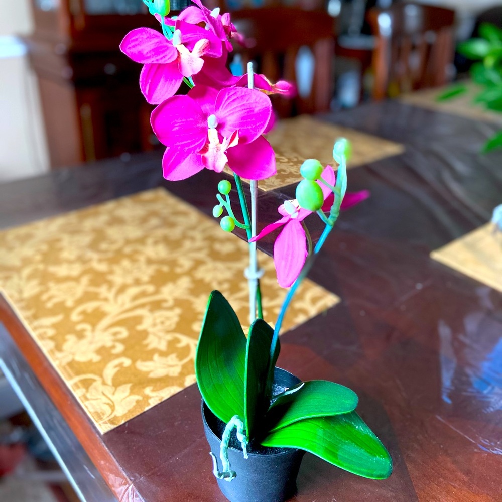Faux Orchid